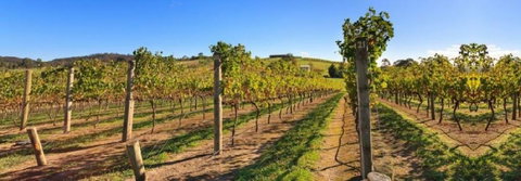 De Vine Escape - Accommodation Gold Coast 4