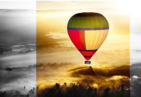 De Vine Escape - Accommodation Gold Coast 6