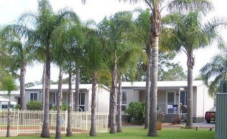 Treehaven Tourist Park - Accommodation Gold Coast 3