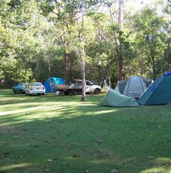 Broadwater Stopover Tourist Park - Accommodation Gold Coast 4
