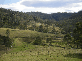 Yasuragi Cabins - Accommodation Gold Coast 0