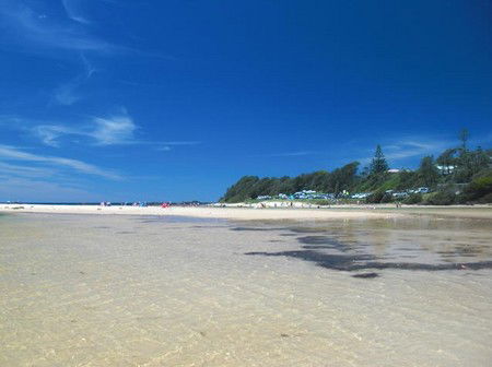 Dolphins Point Tourist Park - Accommodation Gold Coast 0