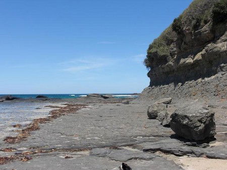 Dolphins Point Tourist Park - Accommodation Gold Coast 4