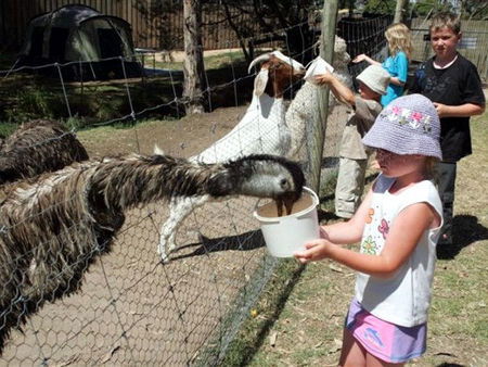 Bairnsdale Holiday Park - Accommodation Gold Coast 2