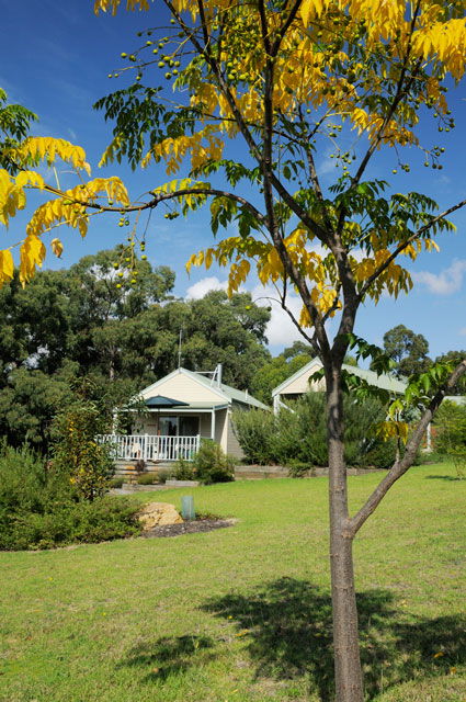 Stringybark Cottages - Accommodation Gold Coast 2