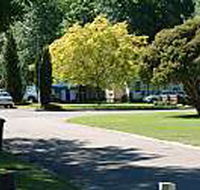 Mitchell Gardens Holiday Park - Accommodation Gold Coast