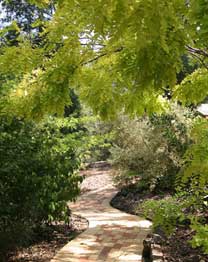 Eagle Hammer Cottages - Accommodation Gold Coast 0