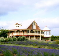 Serendipity Lavender Farm - Accommodation Gold Coast
