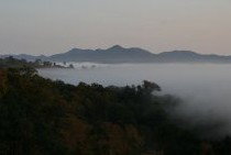 Bumblebrook Farm Motel - Accommodation Gold Coast 4