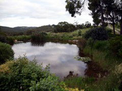 Carolins Organic Farm - Accommodation Gold Coast 1