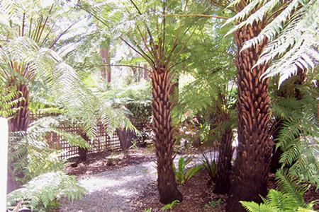 Glenview Retreat - Accommodation Gold Coast 2