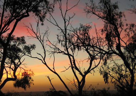 Grandview Manor And Cottage - Accommodation Gold Coast 1