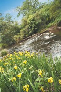 Grange Yarra Valley - Accommodation Gold Coast 4