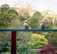 Mast Gully Gardens - Accommodation Gold Coast