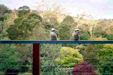 Mast Gully Gardens - Accommodation Gold Coast 0