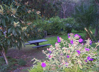 Sunway Farm B And B And Tours - Accommodation Gold Coast 2