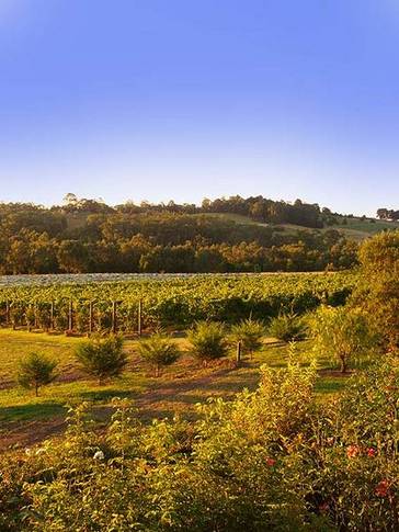 Wallace Heritage Homestead - Accommodation Gold Coast 5
