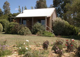Bloomfield Cottages - Accommodation Gold Coast 3