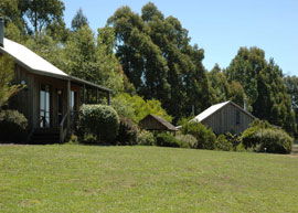 Bloomfield Cottages - Accommodation Gold Coast 4