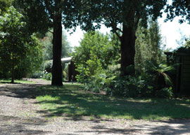 Bloomfield Cottages - Accommodation Gold Coast 5