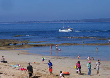 QueenscliffeTourist Park - Accommodation Gold Coast 0