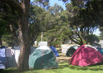 QueenscliffeTourist Park - Accommodation Gold Coast 2