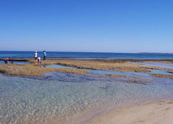 QueenscliffeTourist Park - Accommodation Gold Coast 3