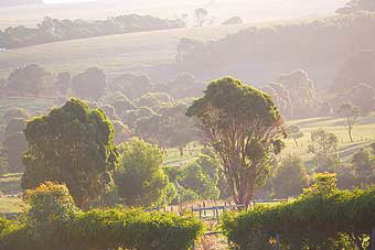 Mackas Farm - Accommodation Gold Coast 0