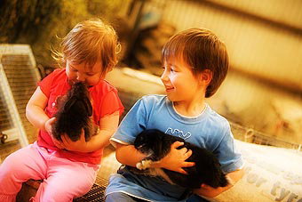 Mackas Farm - Accommodation Gold Coast 1