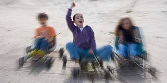 Mackas Farm - Accommodation Gold Coast 2