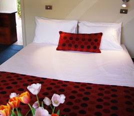 Parade Inn - Gold Coast 4U 2