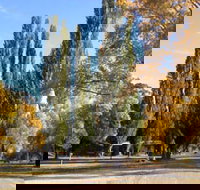 Omeo Caravan Park - Accommodation Gold Coast