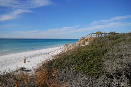 Surf Serenade - Accommodation Gold Coast 4