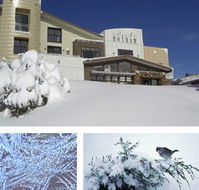 Chalet Hotham - Accommodation Gold Coast