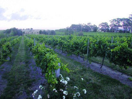 Glen Erin At Lancefield - Accommodation Gold Coast 3