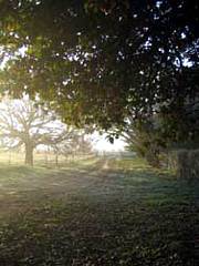 Corinella Country House - Accommodation Gold Coast 4