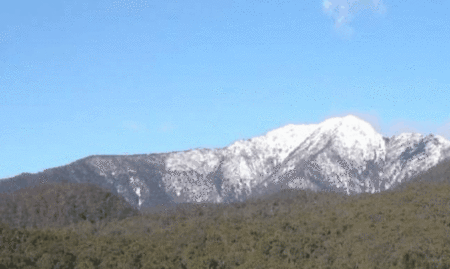 Buller House @ Alpine Ridge - Accommodation Gold Coast 3