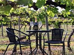 De Vine Escape - Accommodation Gold Coast 2