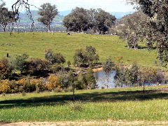 Gaddleen Grove Cottages - Gold Coast 4U 5