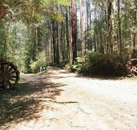 Hill n Dale Farm Cottages - Accommodation Gold Coast