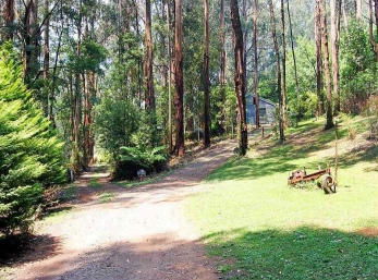 Hill N Dale Farm Cottages - Accommodation Gold Coast 1