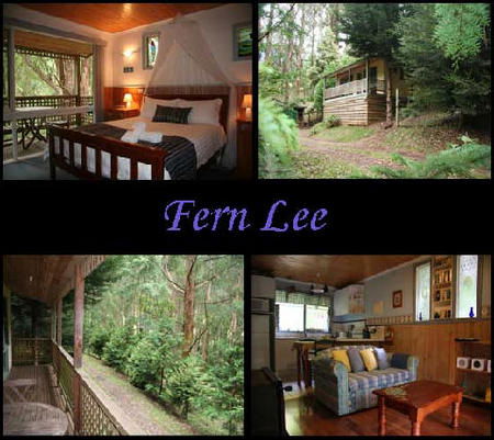 Hill N Dale Farm Cottages - Accommodation Gold Coast 4