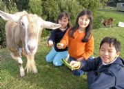 Johanna River Farm And Cottages - Accommodation Gold Coast 0