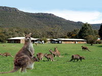 Halls Gap Log Cabins - Accommodation Gold Coast 2