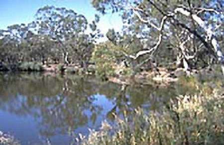 Riverside Host Farm - Accommodation Gold Coast 1