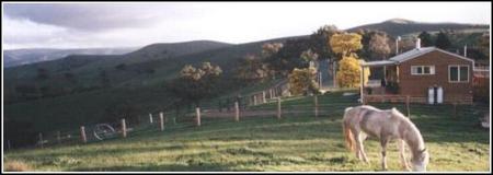Idlewild Park Farm Accommodation - Accommodation Gold Coast 1