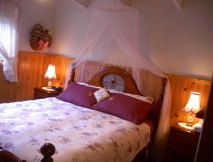 Alfay Cottage - Accommodation Gold Coast 1