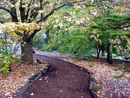 Brigadoon Cottages - Accommodation Gold Coast 3