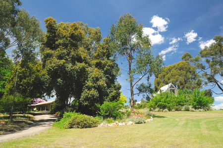 Brigadoon Cottages - Accommodation Gold Coast 5