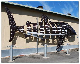 Apollo Bay Recreation Reserve Caravan And Camp Park - Accommodation Gold Coast 1
